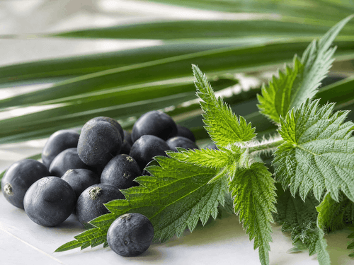 🌿 The Solution — Natural Blockers